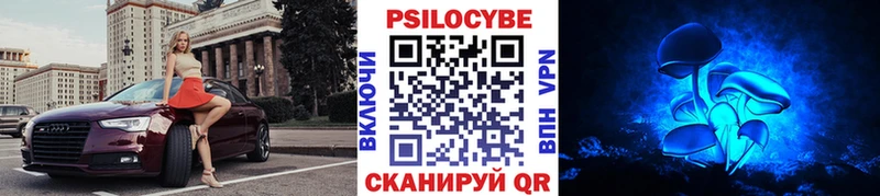 Псилоцибиновые грибы Psilocybe  Анапа 