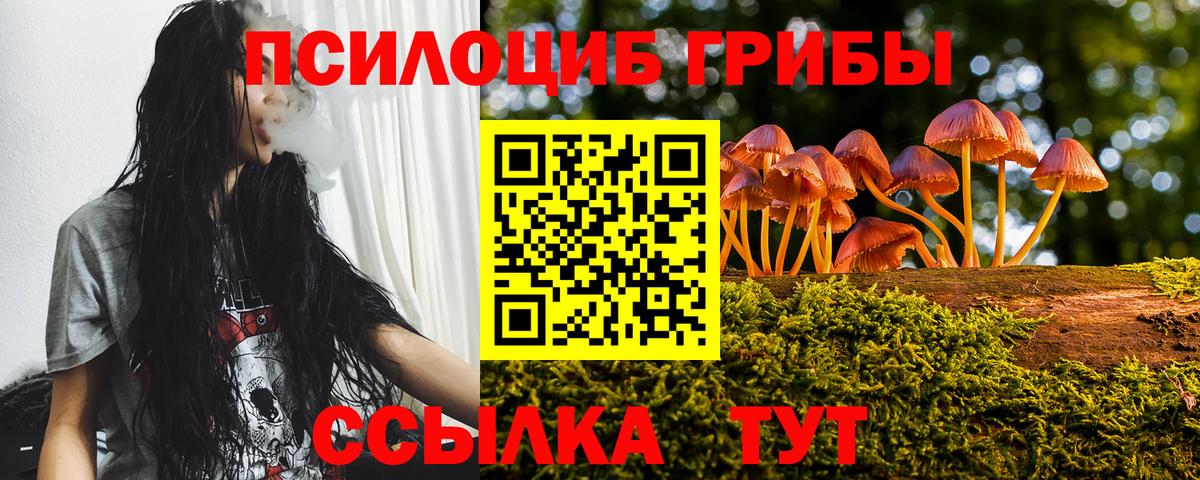 Галлюциногенные грибы прущие грибы Анапа
